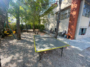 Apartmani Pintar